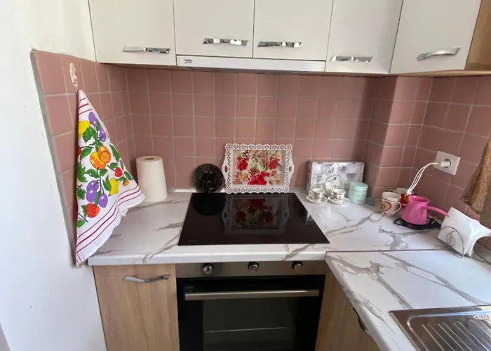 招待所 Amelia's House