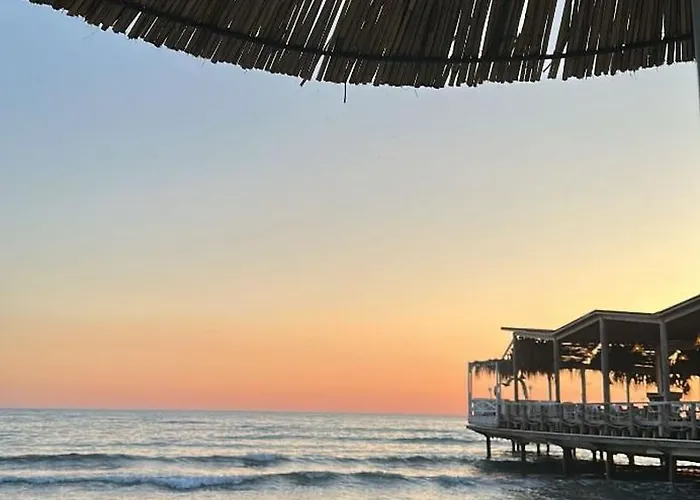 招待所 Amelia's House